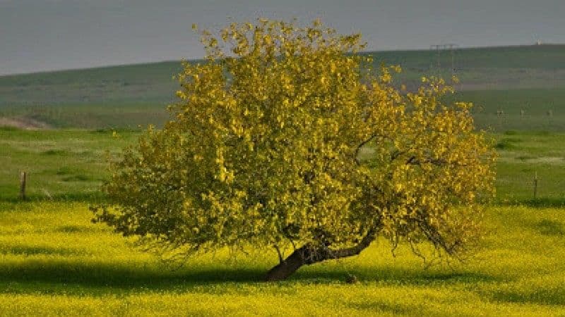 photo de l'évangile du jour