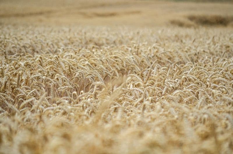 photo de l'évangile du jour