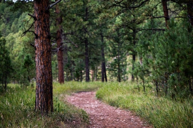 photo de l'évangile du jour